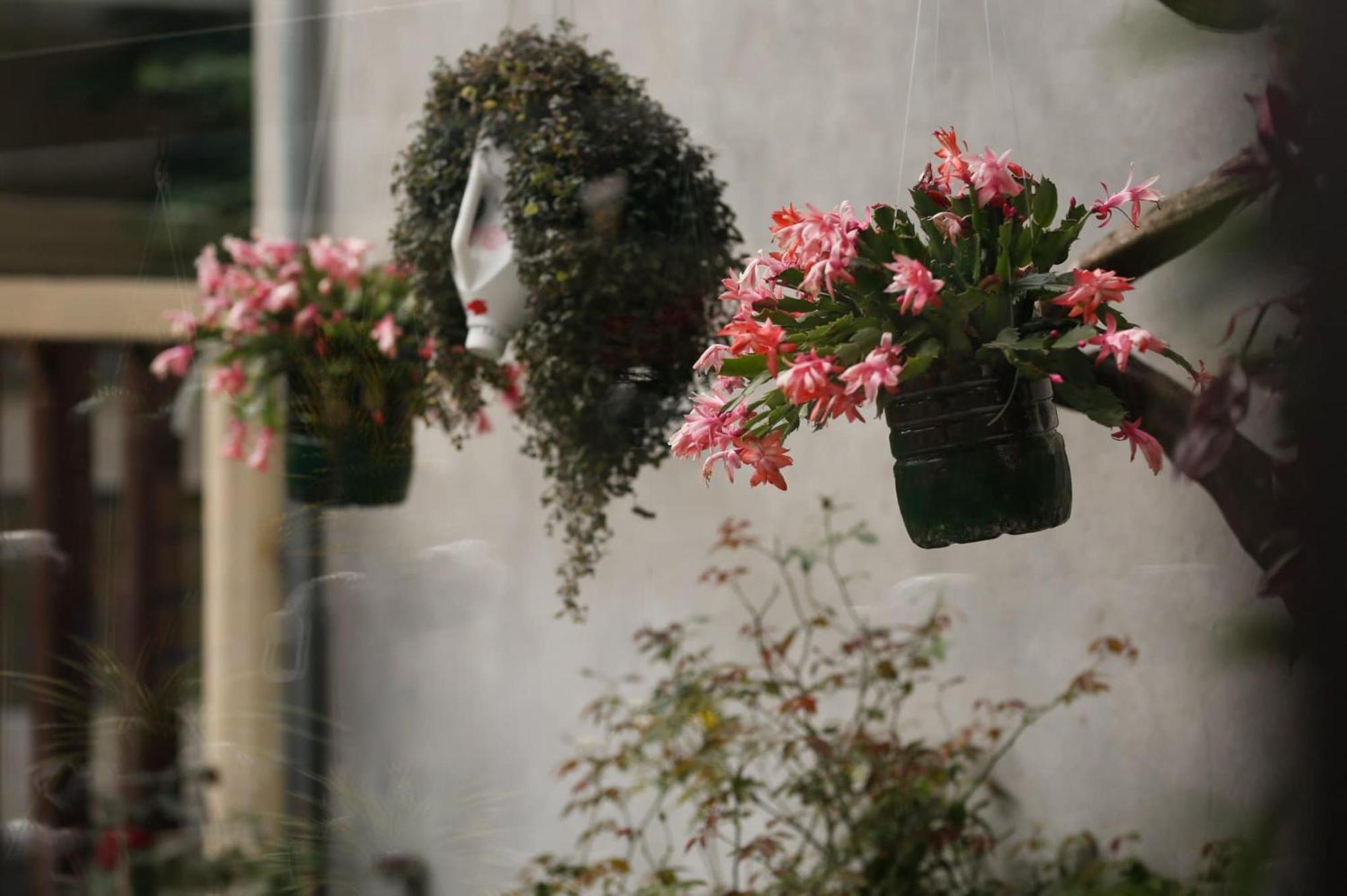 Hue Eco Homestay מראה חיצוני תמונה